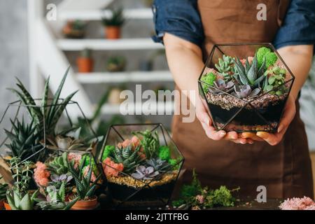 florarium artigianale regalo naturale succulenti Foto Stock