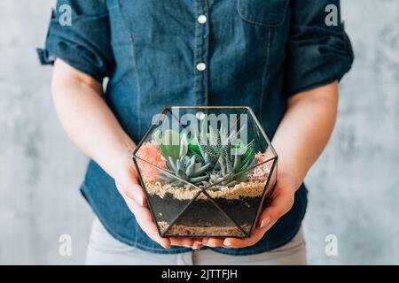 florarium faidate consegna regalo naturale succulenti Foto Stock