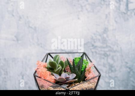 florarium artigianale regalo naturale succulenti Foto Stock