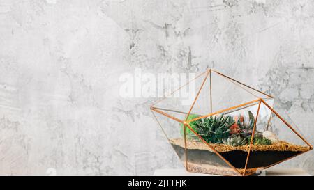 florarium artigianale regalo naturale succulento Foto Stock