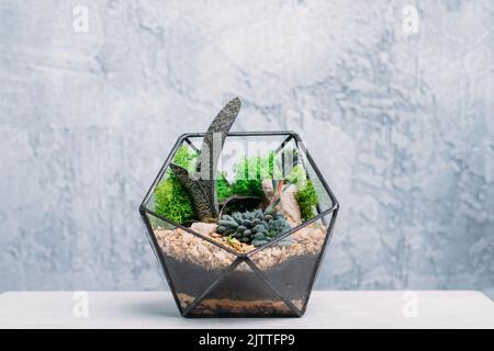 florarium artigianale regalo naturale succulento Foto Stock