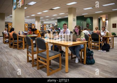 Texas, Stati Uniti. 1st Set, 2022. Gli studenti sono visti in una biblioteca della Baylor University di Waco, Texas, Stati Uniti, il 28 agosto 2022. Credit: Xin Jin/Xinhua/Alamy Live News Foto Stock