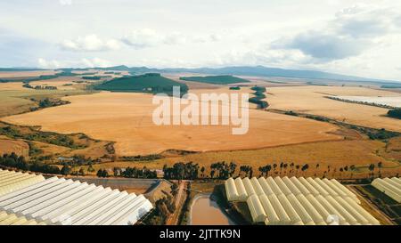 Una vista aerea di grandi serre situate nei campi in luce del giorno Foto Stock