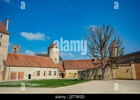 Vecchio albero nella corte interna Blandy-les-Tours castello medievale Foto Stock