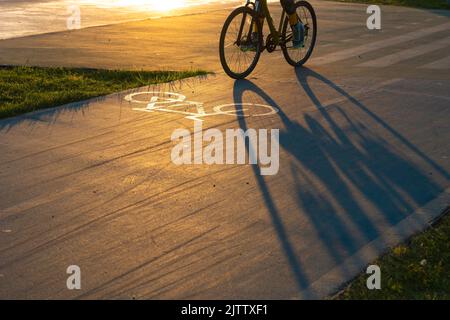 In bicicletta nel parco al tramonto. Ombra della bicicletta sulla pista ciclabile in un parco. Foto di sfondo stile di vita sano. Foto Stock