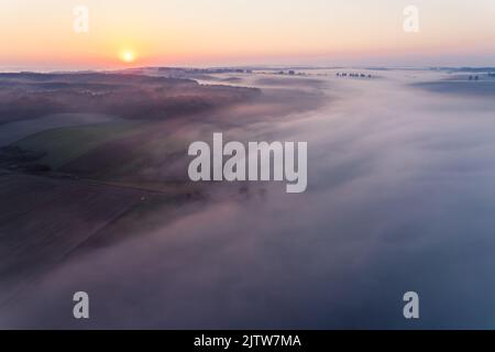 La fitta nebbia si diffonde sui verdi campi agricoli di Roztocze Polonia durante l'alba colorata. Paesaggio mattutino. Scatto orizzontale. Foto di alta qualità Foto Stock