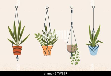 Set di piante Illustrazione Vettoriale