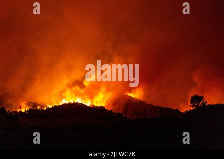 Boleagh, West Cork, Irlanda. 1st Set, 2022. Un grande fuoco di gola ha preso possesso della campagna il giovedì sera a Boleagh, tra Ballydehob e Bantry in Cork occidentale. Il fronte dei vigili del fuoco era largo un paio di chilometri e gli equipaggi di Schull e Bantry erano chiamati a combattere la macchia. Non si sa come è iniziato il fuoco. Credit: AG News/Alamy Live News Foto Stock