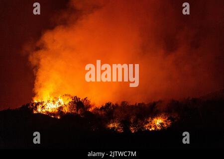 Boleagh, West Cork, Irlanda. 1st Set, 2022. Un grande fuoco di gola ha preso possesso della campagna il giovedì sera a Boleagh, tra Ballydehob e Bantry in Cork occidentale. Il fronte dei vigili del fuoco era largo un paio di chilometri e gli equipaggi di Schull e Bantry erano chiamati a combattere la macchia. Non si sa come è iniziato il fuoco. Credit: AG News/Alamy Live News Foto Stock