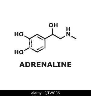 Neurotrasmettitore di epinefrina, molecola di adrenalina isolata a linea sottile struttura chimica. Molecola vettore neurotrasmettitore, struttura chimica ormonale prodotta da ghiandole surrenali, alcuni neuroni Illustrazione Vettoriale