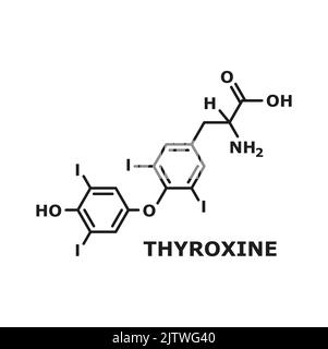 Tiroxina T4, levotiroxina ormone tiroideo struttura di molecola chimica isolata, linea sottile formula scheletrica. Vettore proormone della tironina T3, ormone del corpo umano utilizzato come farmaco per il trattamento dell'ipotiroidismo Illustrazione Vettoriale