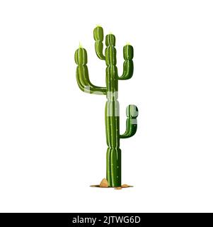 Cactus elefante, succulente tropicale cresciuto nel deserto isolato cartoni animati indiani cactus con spine. Vettore Prickly pianta alto albero spiky, scandinavo o messicano con punte. Pianta di cactus gigante Illustrazione Vettoriale