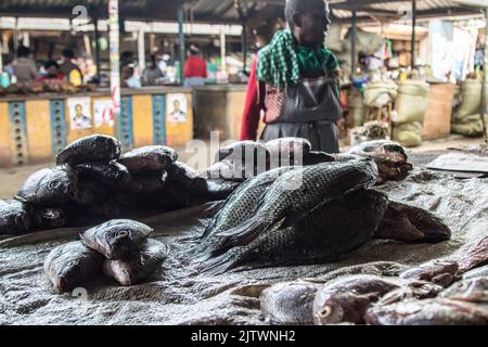 Nakuru, Kenya. 01st Set, 2022. Un commerciante vende pesce al mercato alimentare fresco di Nakuru Town. L'inflazione del Kenya è salita al 8,5% in agosto, il mese in cui si sono tenute le elezioni generali, con l'inflazione alimentare al 15,3%. L'incremento è in crescita dal marzo 2022. Credit: SOPA Images Limited/Alamy Live News Foto Stock