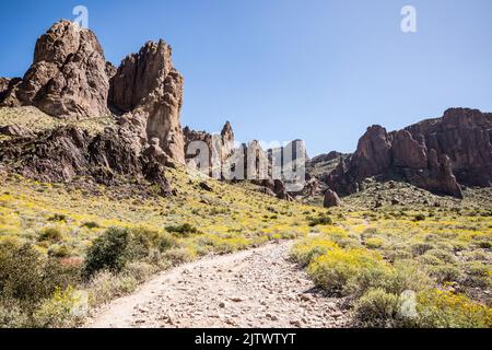 Ripide formazioni rocciose nel Lost Dutchman state Park, Arizona, Stati Uniti. Foto Stock