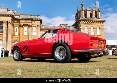 1966 Ferrari 275 GTB/C al Salon Prive Concours a Blenheim Palace Oxfordshire UK Foto Stock