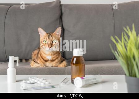 Un gatto con un raffreddore o influenza si siede su un divano vicino a un tavolo con farmaci. Il concetto di raffreddore. Foto Stock