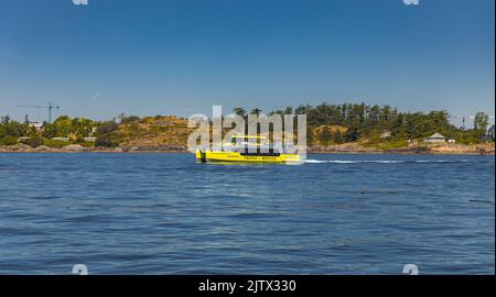 Tour in crociera con avvistamento di balene a Victoria British Columbia Vancouver Island durante l'estate. Foto di viaggio, messa a fuoco selettiva, spazio per testo-Luglio 20.202 Foto Stock