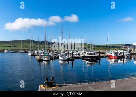 Dingle, Irlanda - 7 agosto, 2022: Vista di molte barche a vela nella marina e nel porto nel villaggio di Dingle nella contea di Kerry Foto Stock