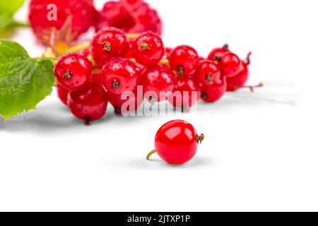 Primi piani di ribes rosso sullo sfondo di un mazzo di ribes rossi, macrofotografia, su sfondo bianco Foto Stock