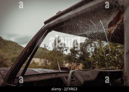 Ragnatela e foglie secche sul finestrino di vecchia auto abbandonata nella foresta. Messa a fuoco selettiva. Foto Stock