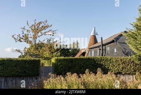 Piccolo inglese oast, luppolo casa nella campagna del kent in una luminosa serata di sole Foto Stock