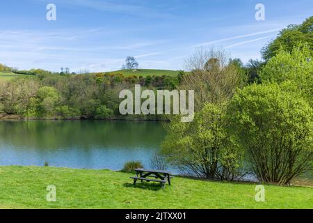 Un tavolo da picnic accanto al lago artificiale Clatworthy in primavera sulle pendici meridionali delle colline di Brendon, Somerset, Inghilterra. Foto Stock