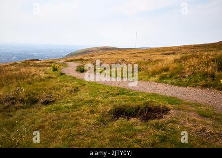 Sentiero costiero lungo la montagna Nera a divis e la montagna nera le colline di belfast Range belfast nord irlanda Foto Stock