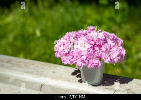 Un bouquet di delicati garofani rosa in un secchio bianco su uno sfondo sfocato della natura. Luogo per un'iscrizione. Messa a fuoco selettiva. Foto Stock