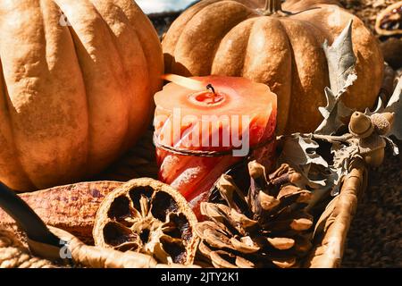 Accogliente composizione autunnale calda con candela e zucche bruciate su plaid di lana lavorato a maglia. Arredamento autunnale. Atmosfera autunnale. Ringraziamento. Halloween. Foto Stock