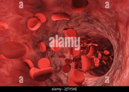 Globuli rossi che scorrono in un vaso sanguigno. 3D illustrazione del sistema circolatorio umano Foto Stock