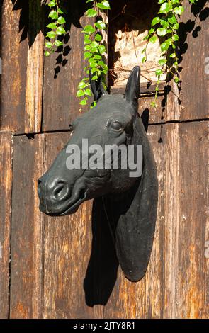 Gardelegen, Germania - 10 agosto 2022: Scultura di testa di cavallo su una parete di legno a Gardelegen, Germania Foto Stock