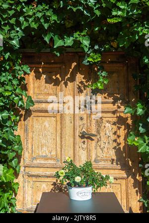 Gardelegen, Germania - 10 agosto 2022: Una vecchia porta di legno in un muro coperto di edera verde Foto Stock