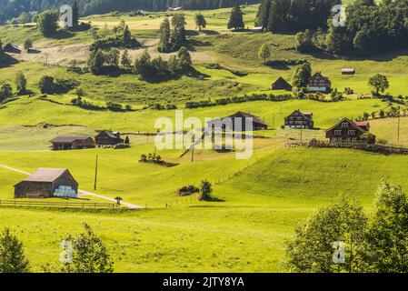 Agriturismi e prati verdi e pascoli nelle Alpi svizzere, Toggenburg, Canton San Gallo, Svizzera Foto Stock