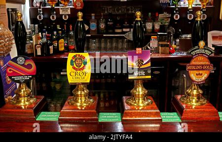 ATVH, Appleton Thorn Village Hall, CAMRA Real ale Pumps on a bar, Stretton Road, Appleton Thorn, Warrington, Cheshire, INGHILTERRA,UK,WA4 4RT Foto Stock
