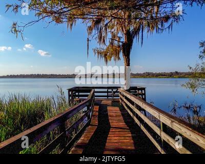 Blakeley state Park sul lungomare del fiume Tensaw Foto Stock