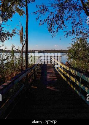 Blakeley state Park sul lungomare del fiume Tensaw Foto Stock