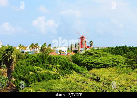 Un vecchio mulino a vento olandese e altri edifici, si affacciano su una grande distesa di lussureggiante vegetazione tropicale, Aruba Foto Stock