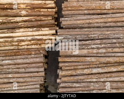 Vista dall'alto dei log tagliati impilati in attesa di essere trasportati per la lavorazione Foto Stock