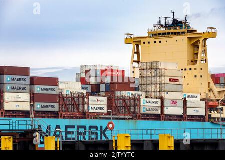 Container Maersk Luz nel porto d'oltremare di Bremerhaven Foto Stock