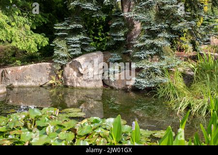 Margine dello Stagno RHS Harlow Carr Foto Stock