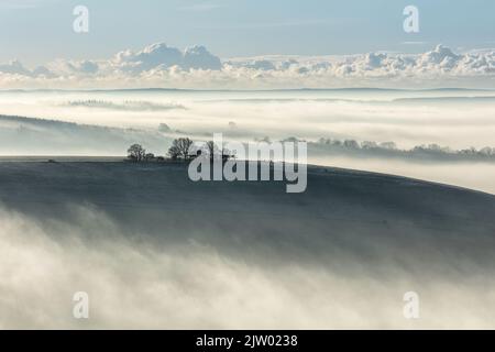 Vista sul Blackmore vale da Melbury Hill vicino a Shaftesbury, Dorset, Inghilterra, Regno Unito Foto Stock