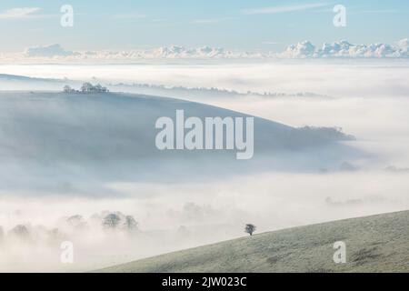 Vista sul Blackmore vale da Melbury Hill vicino a Shaftesbury, Dorset, Inghilterra, Regno Unito Foto Stock