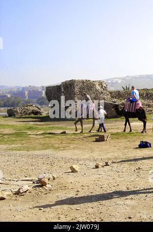 Foto 2005 - MAROCCO - turisti in giro a dorso di cammello a TANGERI, Nord Africa - ---- MAROC - Touristes faisant une balade à dos de chameau à TANGER, ---- المغرب - السياح الذين يركبون الجمال في طنجة , ------- MARRUECOS - Turistas dando un paseo en camello en Tánger Foto Stock