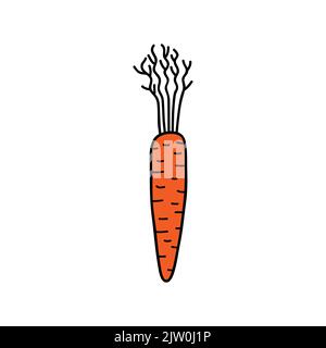 Doodle icona di carota colorata isolato su sfondo bianco. Illustrazione Vettoriale
