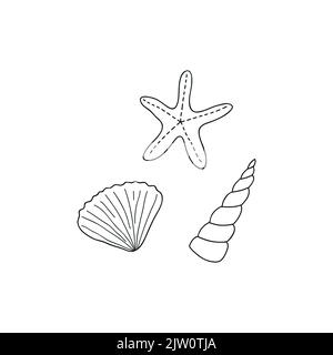Doodle delineano conchiglie isolate su sfondo bianco. Illustrazione Vettoriale