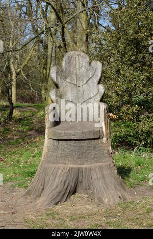 sedile in foglie di rovere, passeggiate al thornham, suffolk Foto Stock