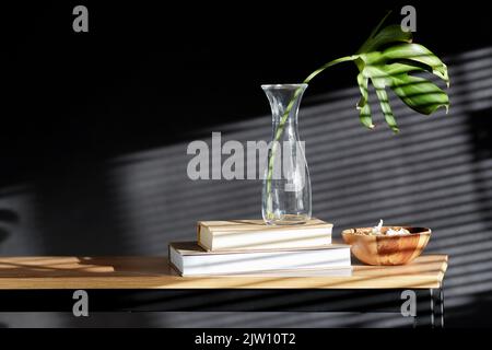 monstera foglia in vaso, libri e conchiglie su panca Foto Stock