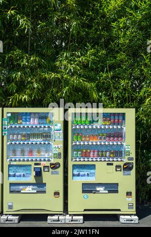 Uno dei migliaia di distributori automatici che erogano tutto, dalle bevande calde e fredde alle banane e agli hamburger, nello storico quartiere Asakusa di Tokyo, Giappone. Il Giappone ha oltre 5,5 milioni di distributori automatici secondo la Japan Vending Machine Manufacturers Association. Foto Stock
