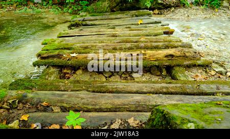 Alti Tatra, Slovacchia l'acqua nel torrente di montagna scorre attraverso la giornata di pietra tra gli spruces che crescono sulle rive. Sopra il ruscello si trova un legno Foto Stock