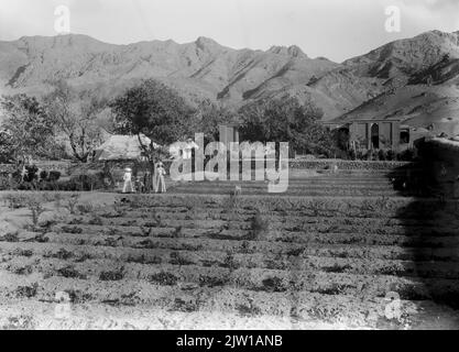 AJAXNETPHOTO. 1919-1920S (CIRCA). INDIA. FRONTIERA NORD-OCCIDENTALE. - FOOTHILLS GARDEN - DONNE EUROPEE CON DUE BAMBINI E CERVI GIOVANI VISTI NEL LORO GIARDINO. PHOTOGRAPHER:UNKNOWN © DIGITAL IMAGE COPYRIGHT AJAX VINTAGE PICTURE LIBRARY SOURCE: AJAX VINTAGE PICTURE LIBRARY COLLECTION REF:1920 2 2 Foto Stock